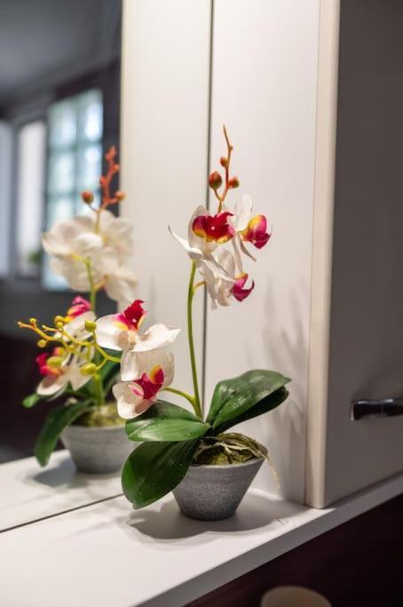 Dream House Apartman Préveza Kültér fotó